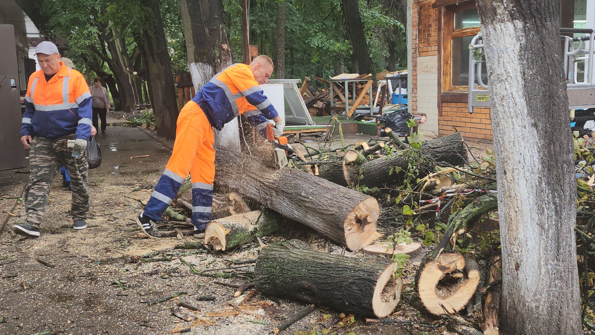 вертикалки, пушкино, удаление сухостоя, удаление аварийных деревьев, удаление деревьев, коммунальная служба,