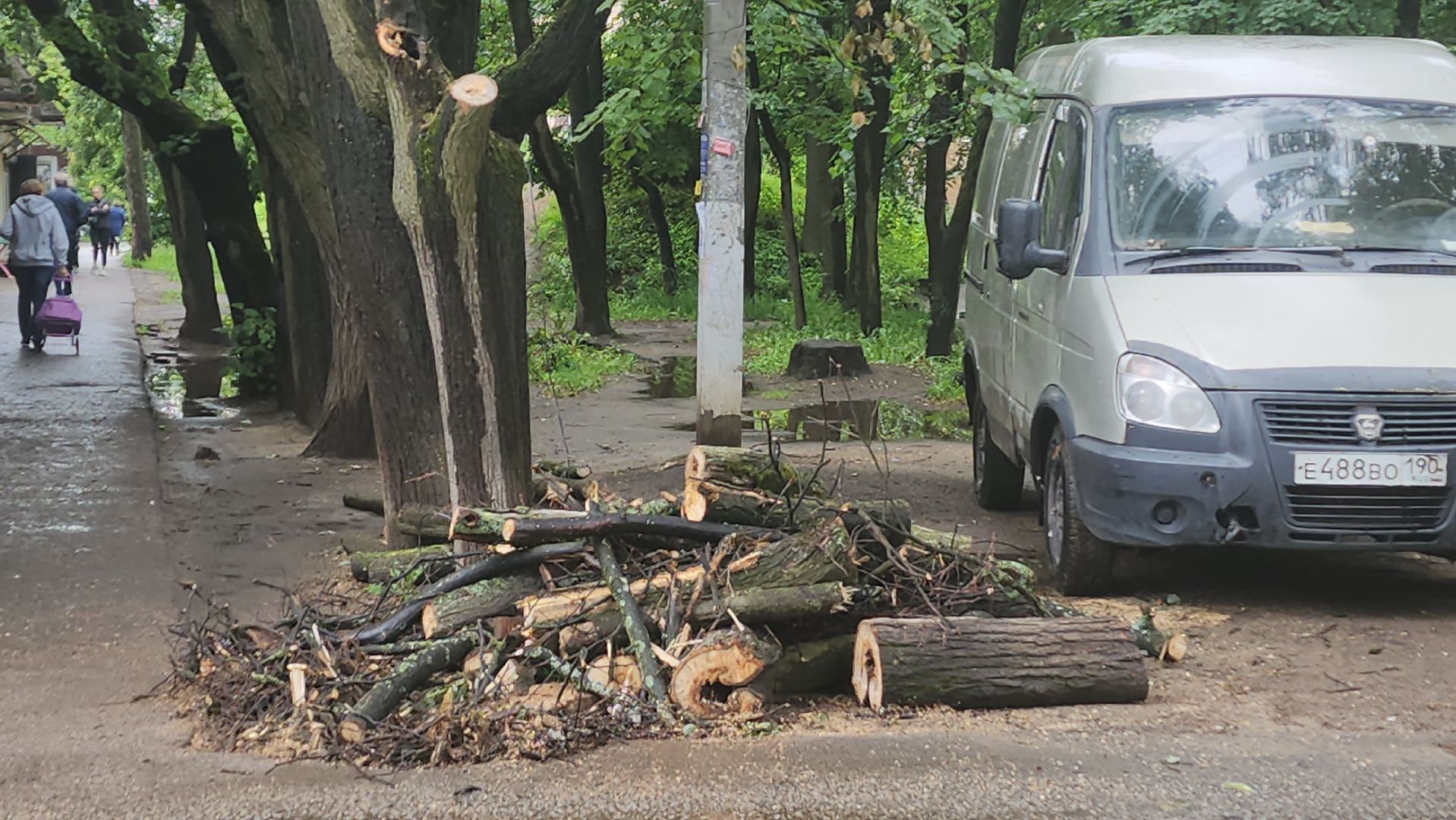 вертикалки, пушкино, удаление сухостоя, удаление аварийных деревьев, удаление деревьев, коммунальная служба,