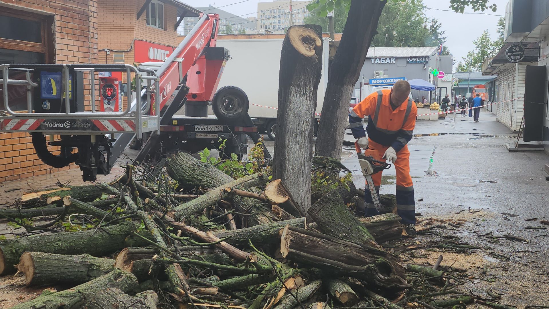 вертикалки, пушкино, удаление сухостоя, удаление аварийных деревьев, удаление деревьев, коммунальная служба,