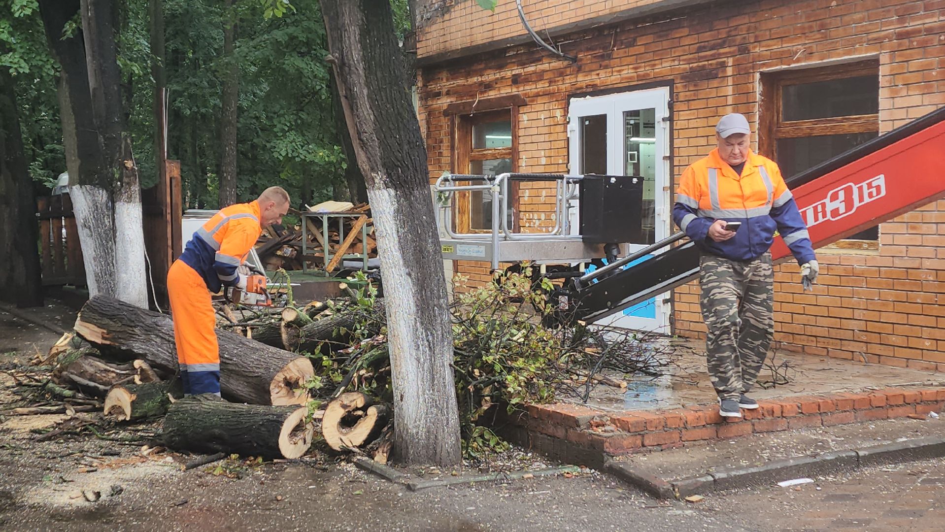 вертикалки, пушкино, удаление сухостоя, удаление аварийных деревьев, удаление деревьев, коммунальная служба,