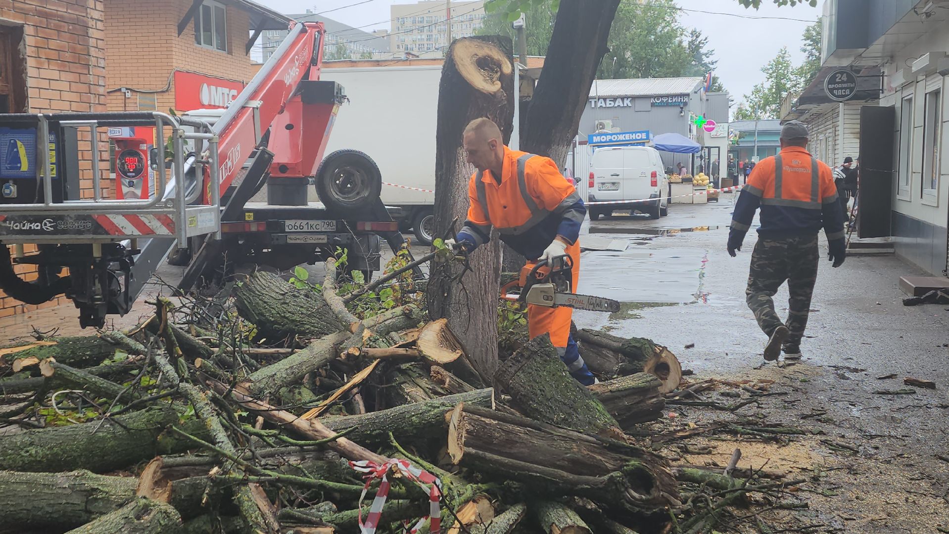 вертикалки, пушкино, удаление сухостоя, удаление аварийных деревьев, удаление деревьев, коммунальная служба,