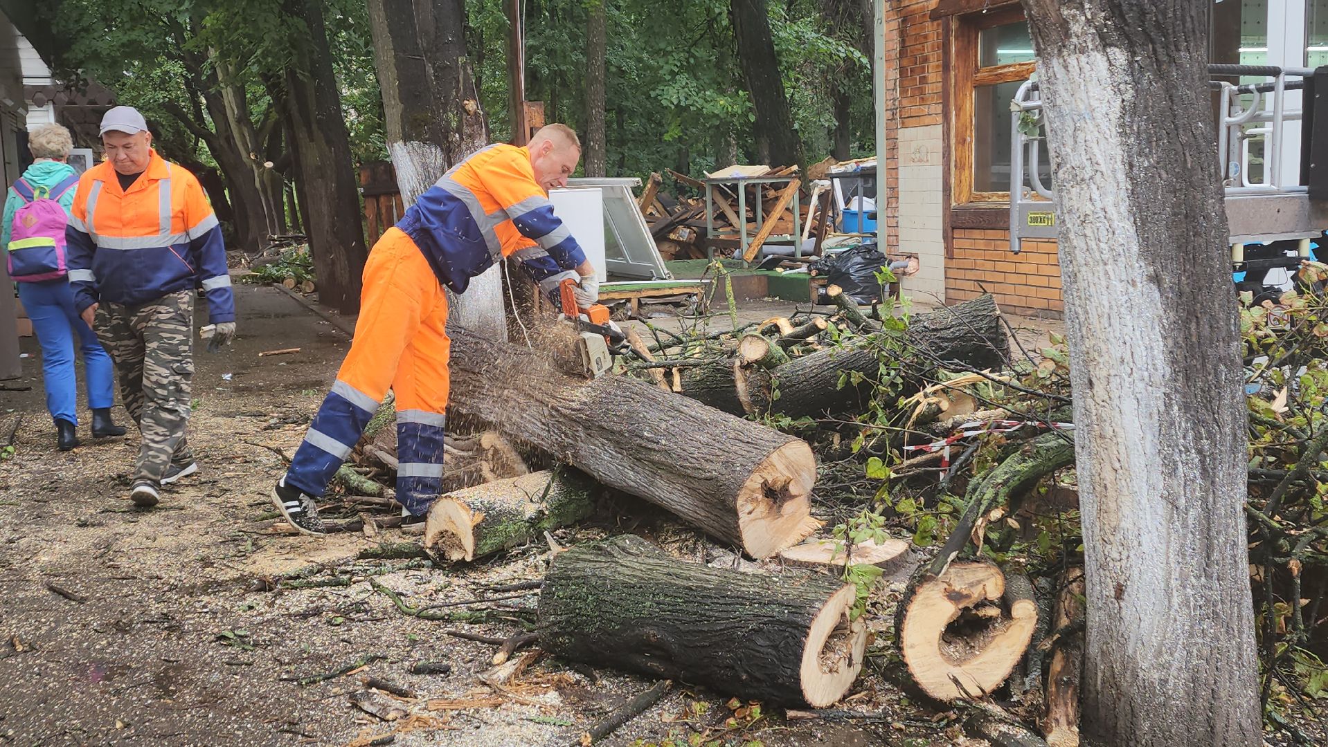 вертикалки, пушкино, удаление сухостоя, удаление аварийных деревьев, удаление деревьев, коммунальная служба,