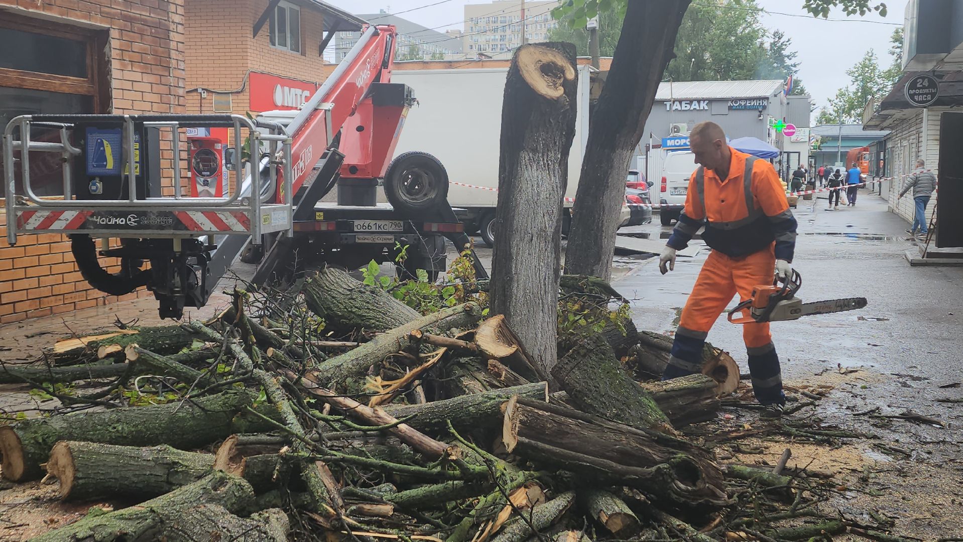 вертикалки, пушкино, удаление сухостоя, удаление аварийных деревьев, удаление деревьев, коммунальная служба,