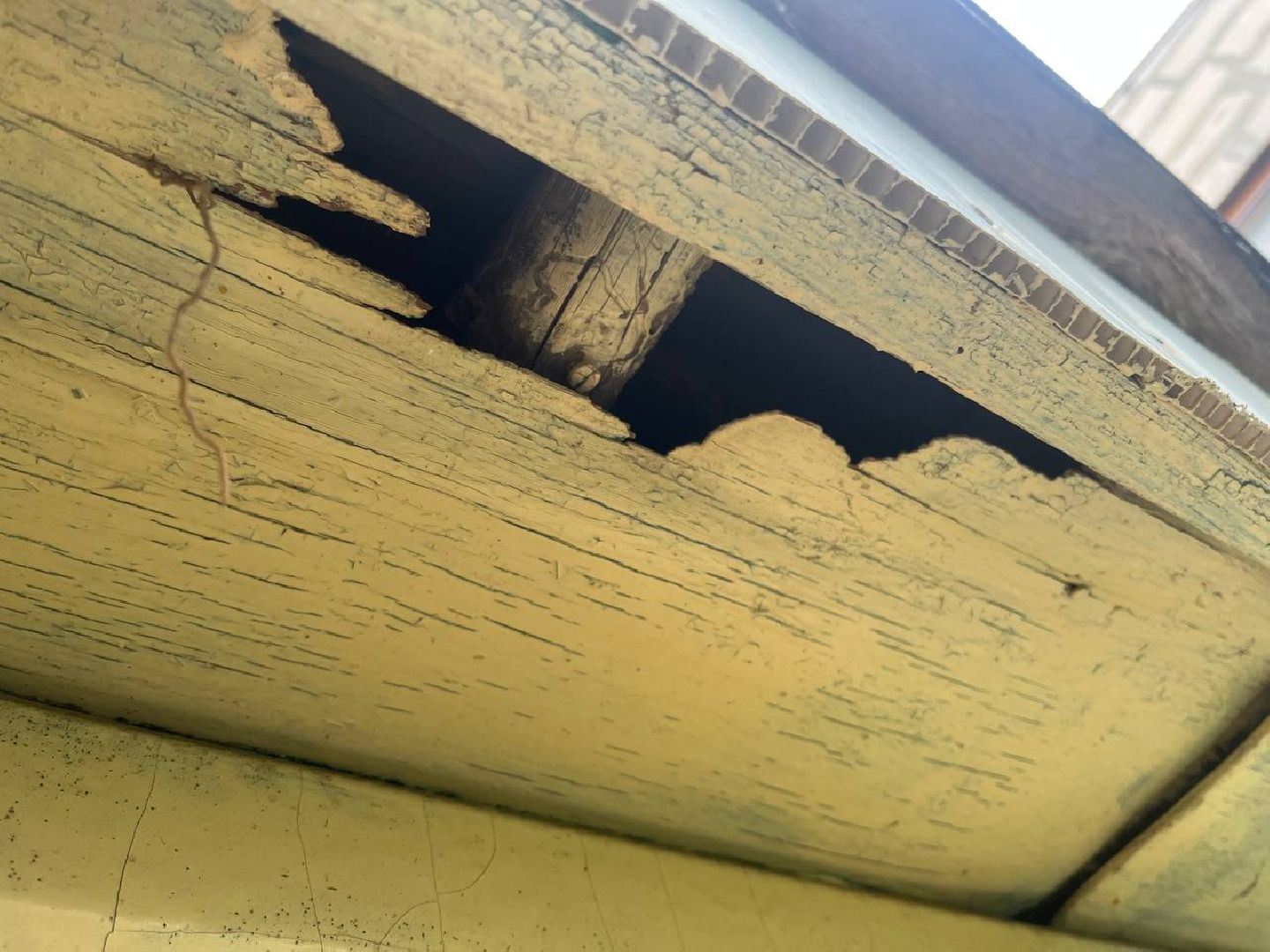 Истра,  Птенец, Воробей,