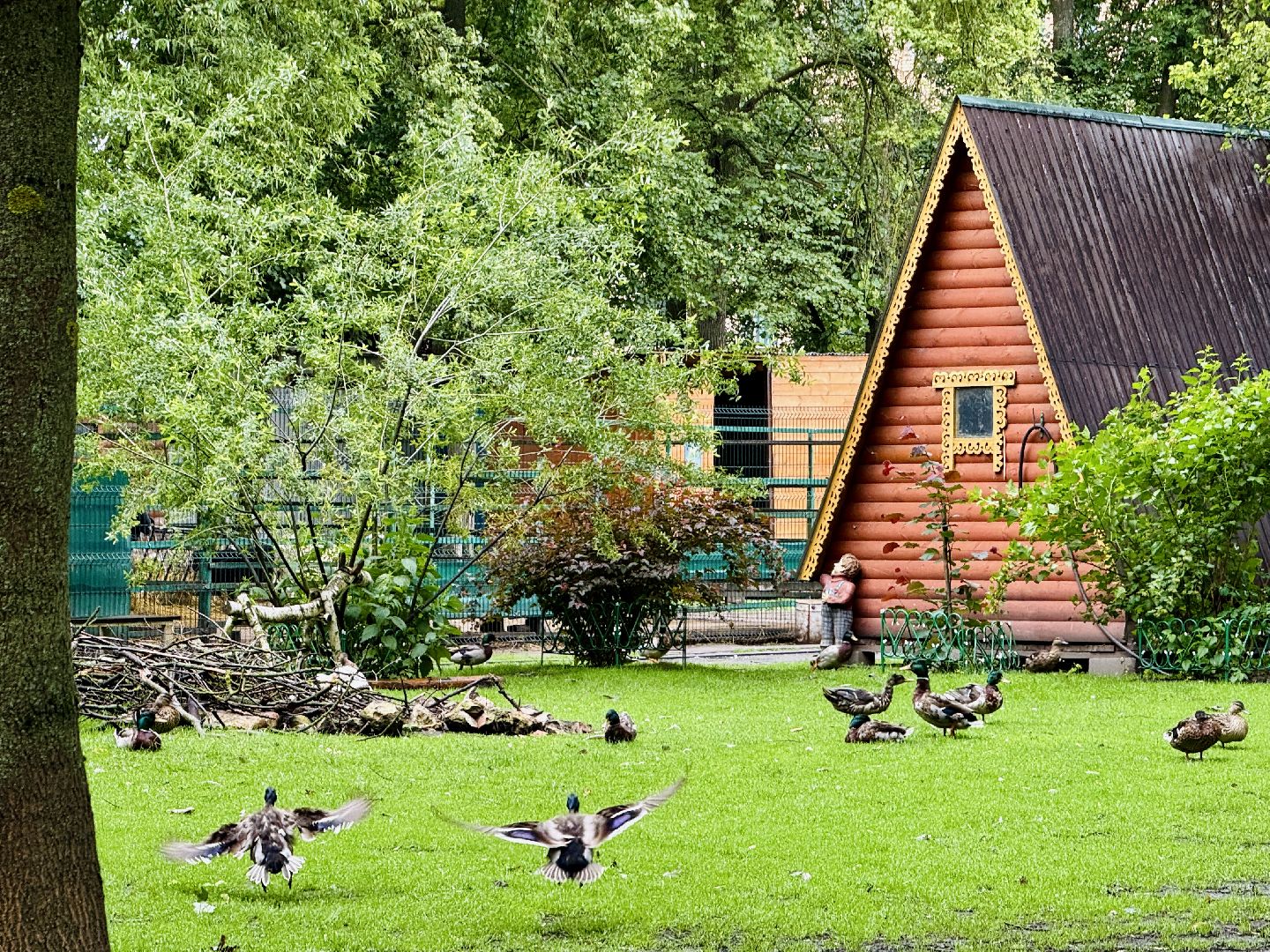 раменское, гжель, туризм, гжельский зоопарк, контактный зоопарк,