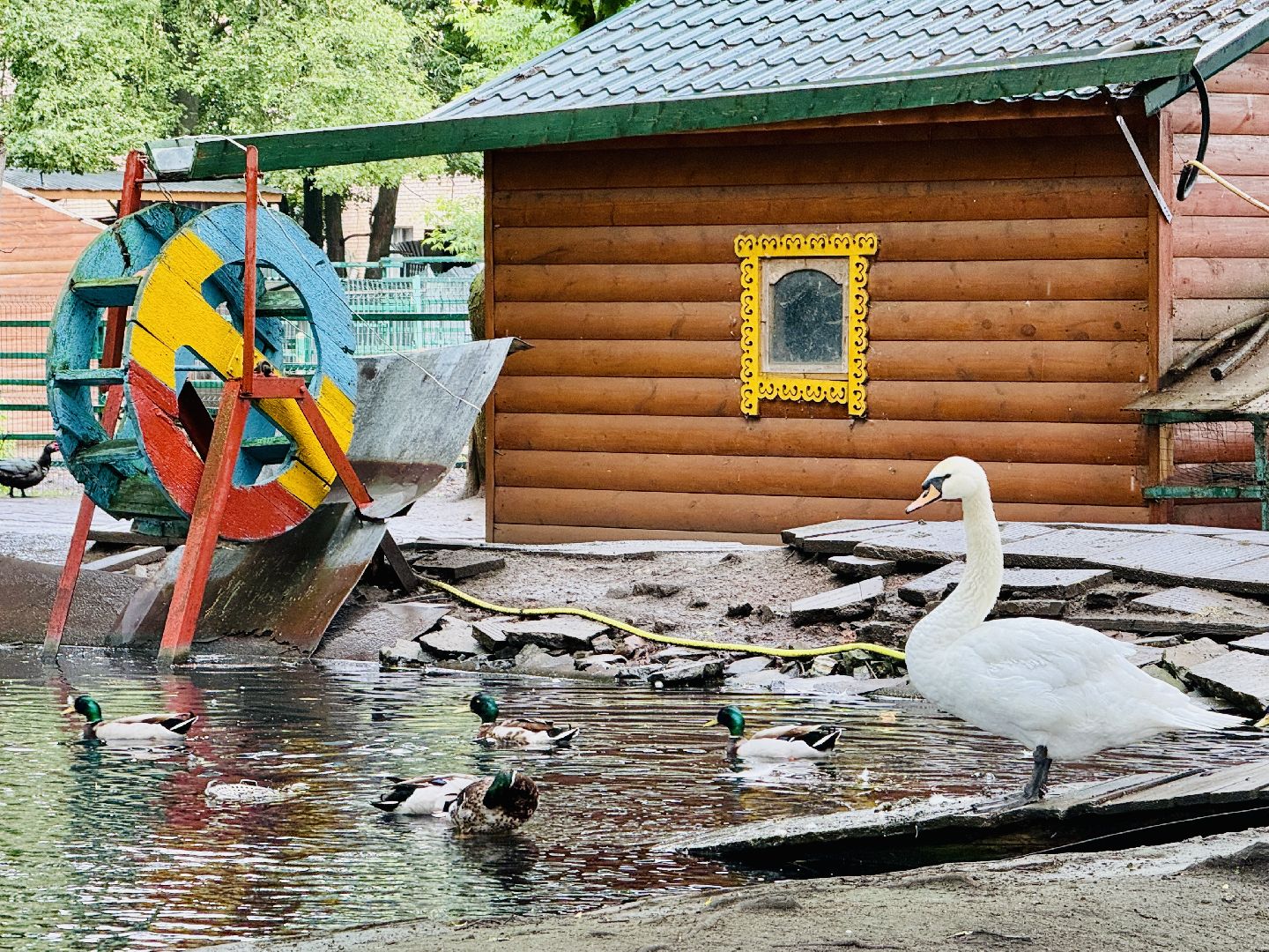 раменское, гжель, туризм, гжельский зоопарк, контактный зоопарк,