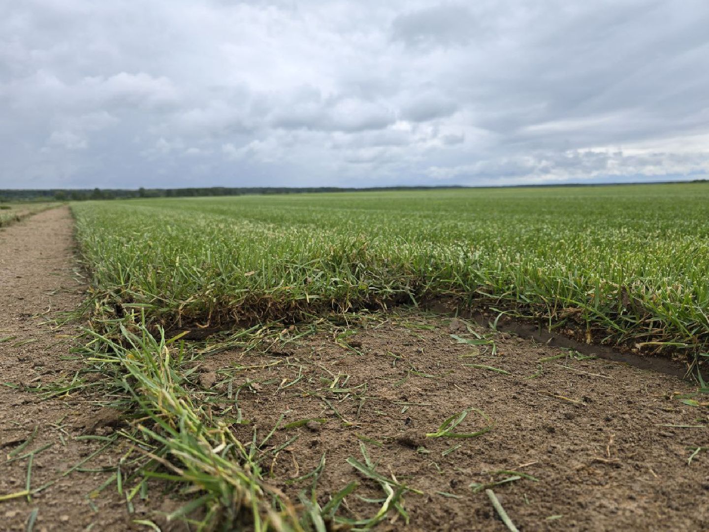 можайск, можайский муниципальный округ, подмосковье, сельхозпредприятие,   сельское хозяйство, аграрии, агропредприятие,