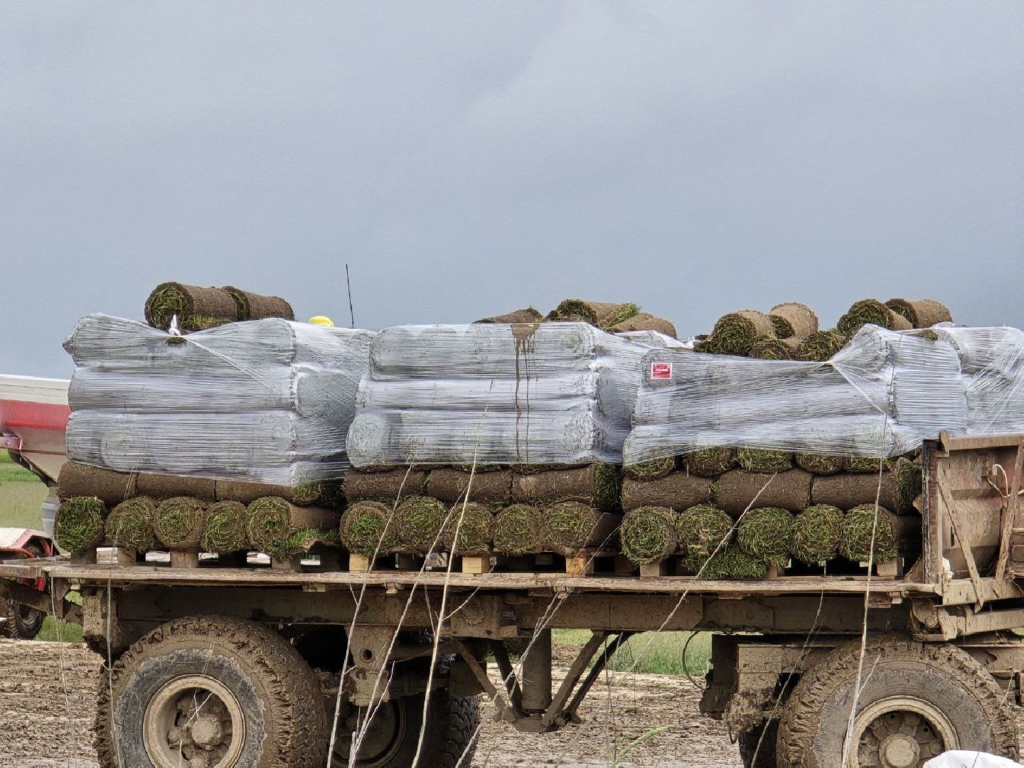 можайск, можайский муниципальный округ, подмосковье, сельхозпредприятие,   сельское хозяйство, аграрии, агропредприятие,