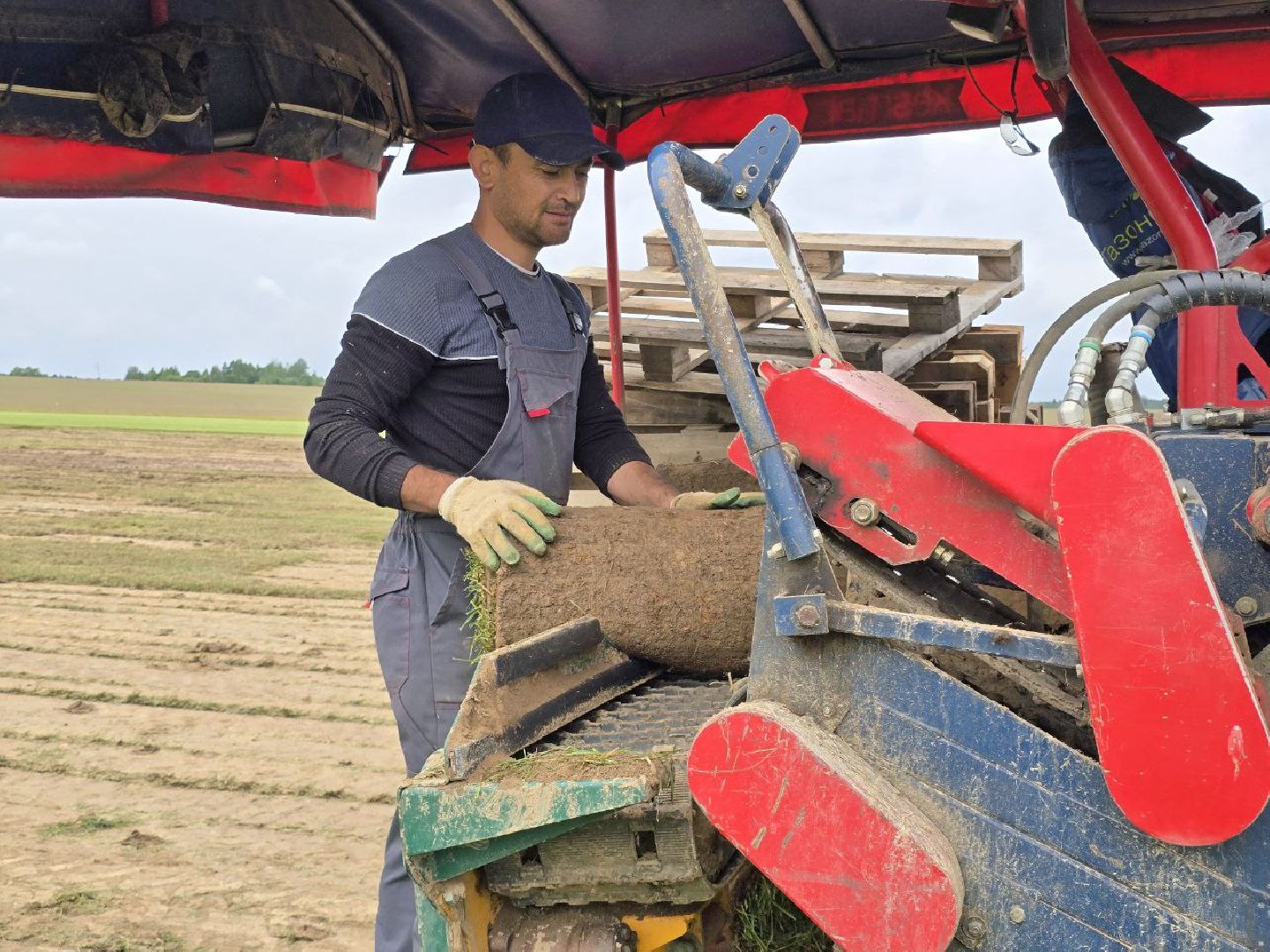 можайск, можайский муниципальный округ, подмосковье, сельхозпредприятие,   сельское хозяйство, аграрии, агропредприятие,