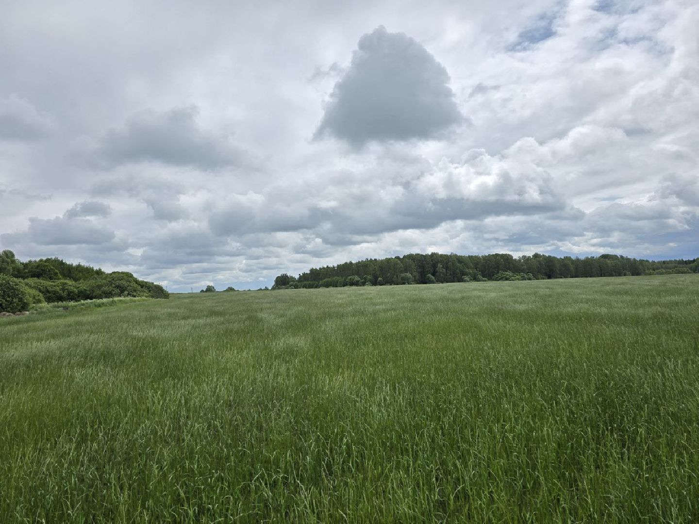 можайск, можайский муниципальный округ, подмосковье, сельхозпредприятие,   сельское хозяйство, аграрии, агропредприятие,
