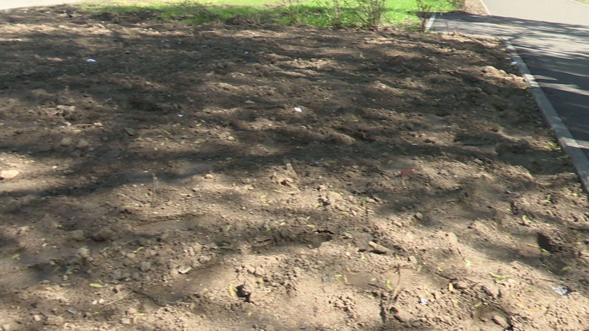 Реутов, дороги, капитальный ремонт, тротуары, асфальт, бордюры