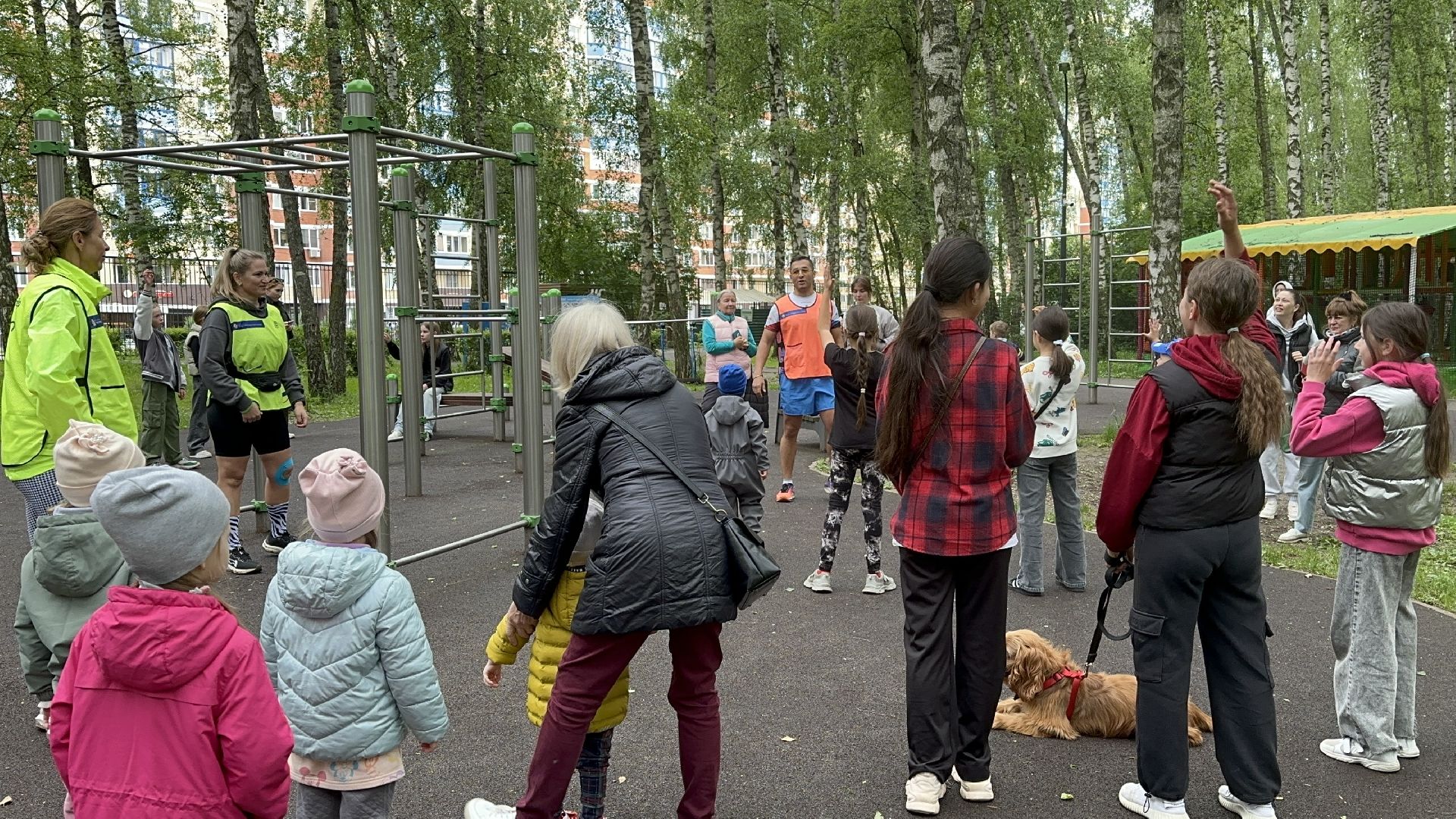 пять верст, домашние животные, домодедово, парки,