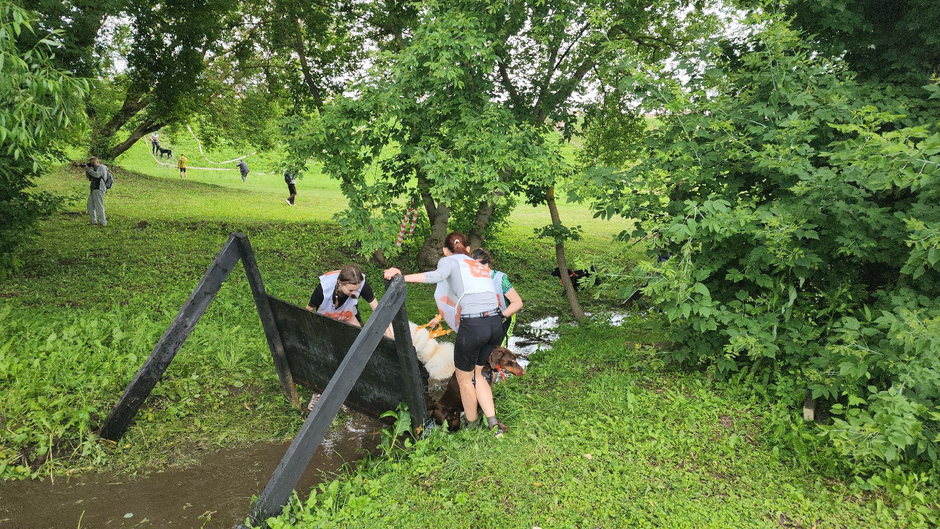 Зарайск, Зарайский Бизон, Экстремальный исторический забег, Забег с собаками, След в след,