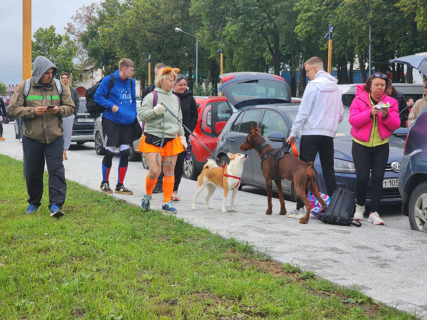 Зарайск, Зарайский Бизон, Экстремальный исторический забег, Забег с собаками, След в след,
