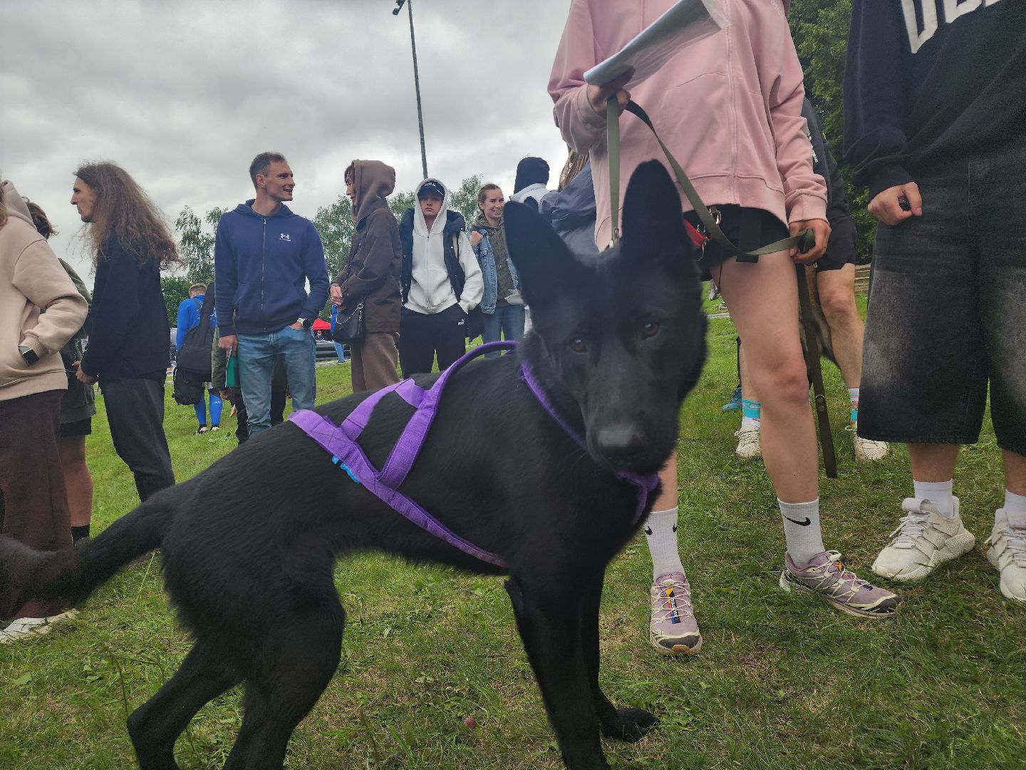 Зарайск, Зарайский Бизон, Экстремальный исторический забег, Забег с собаками, След в след,