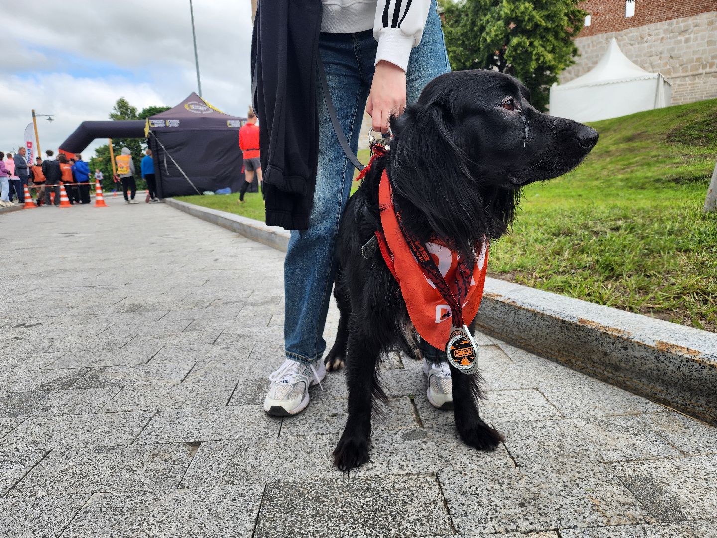 Зарайск, Зарайский Бизон, Экстремальный исторический забег, Забег с собаками, След в след,