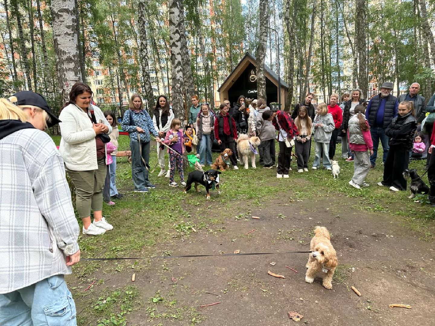 парки, домодедово, домашние животные,