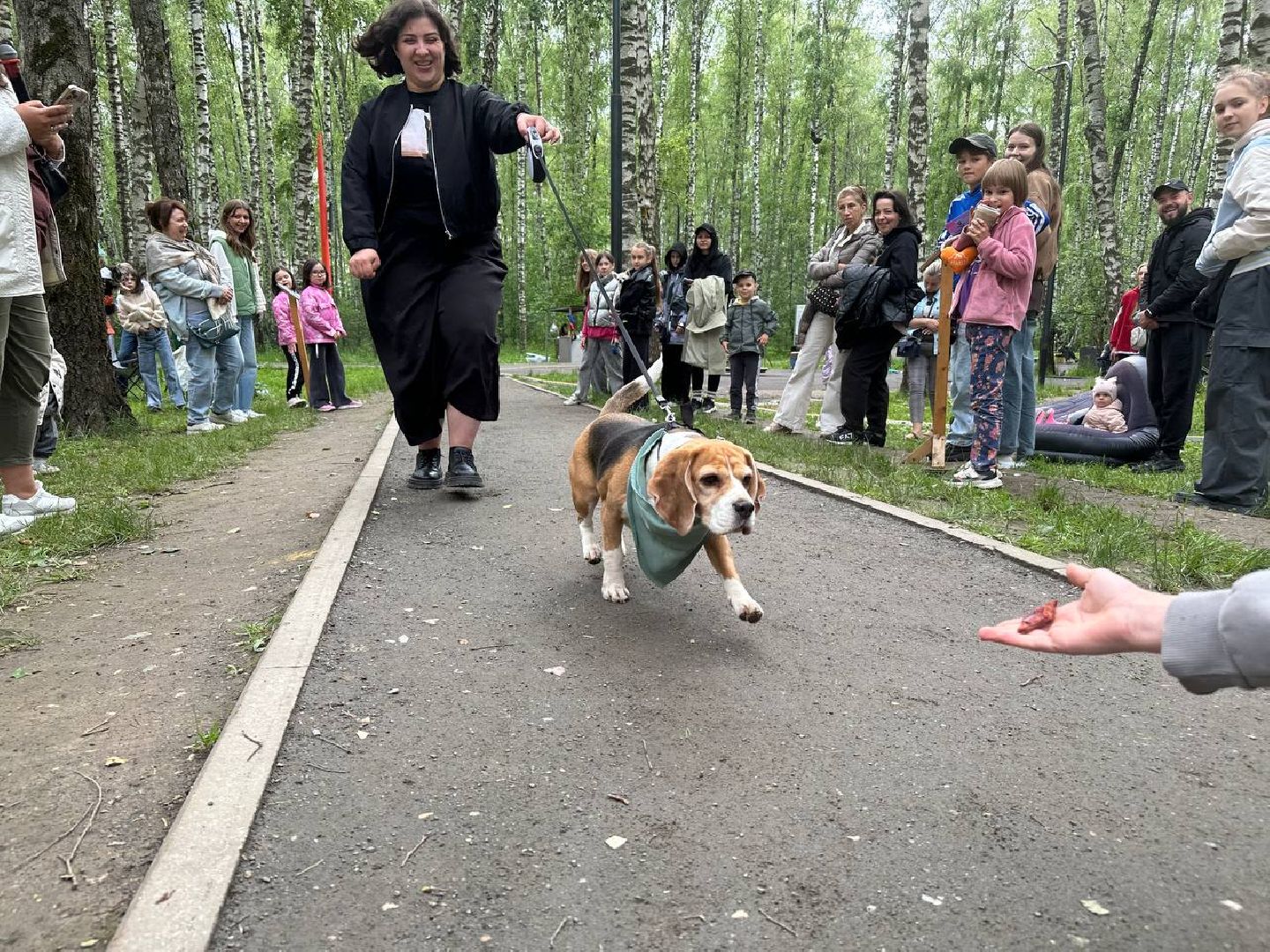 парки, домодедово, домашние животные,