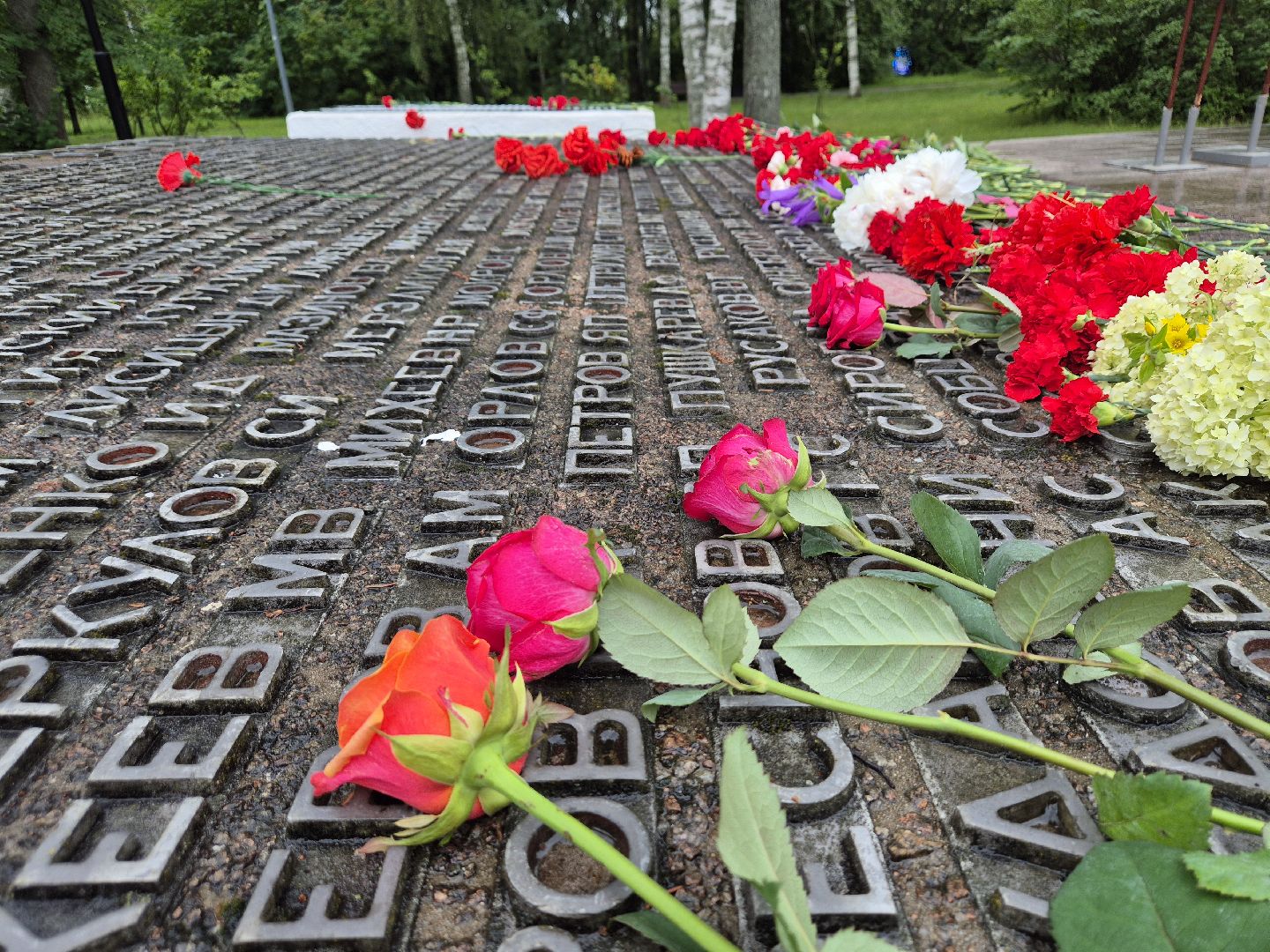 Деньпамятиискорби, Дубна, Акция, Возложениецветов, Помнимисторию,