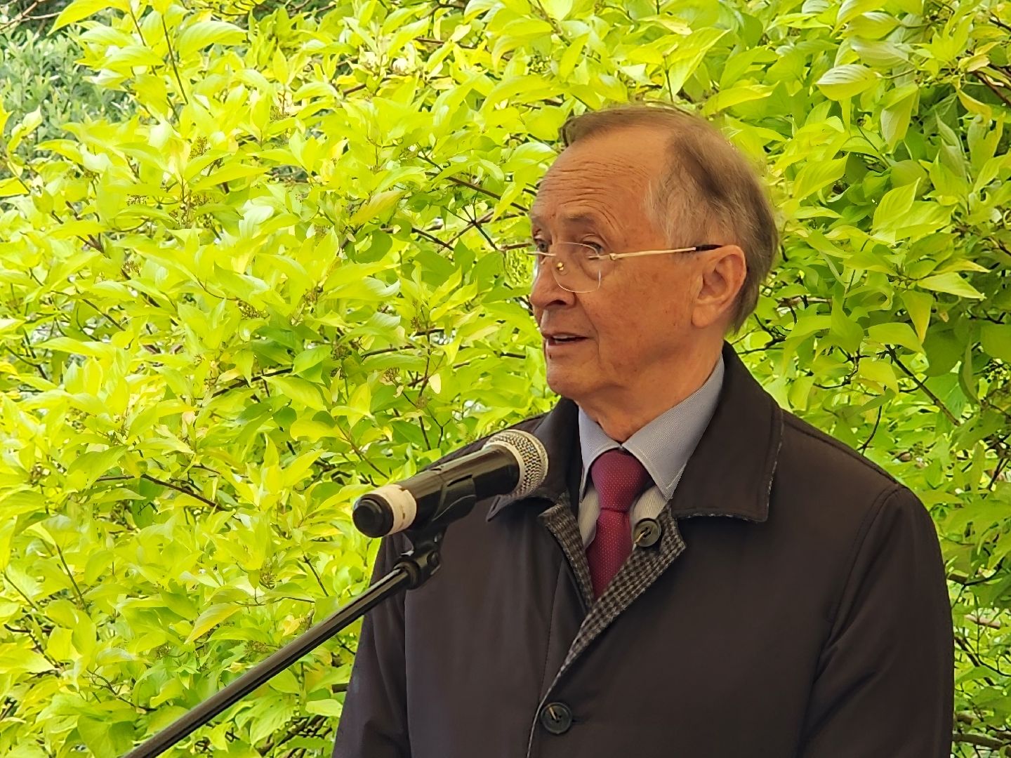 чехов, село мелихово, режиссер анхель гутьеррес, захоронение праха, похороны, панихида, писатель антон чехов, актер николай бурляев, молебен,