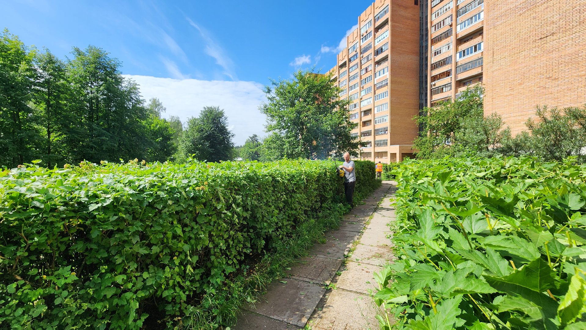 протвино, комбинат благоустройства, благоустроенная территория,