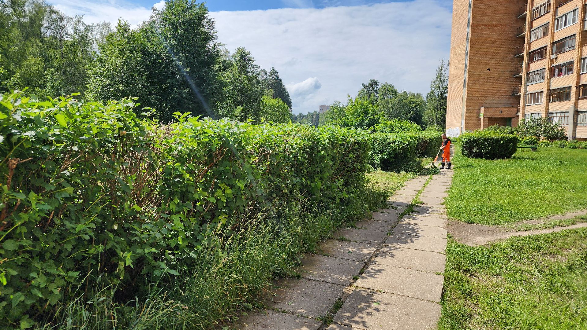 протвино, комбинат благоустройства, благоустроенная территория,