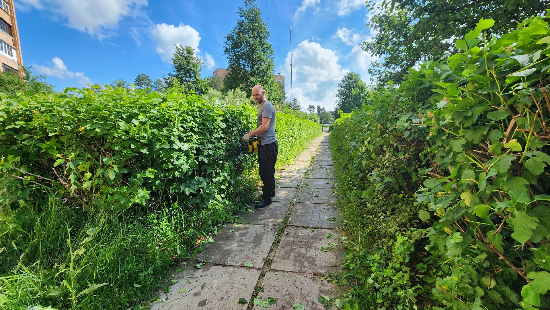 протвино, комбинат благоустройства, благоустроенная территория,
