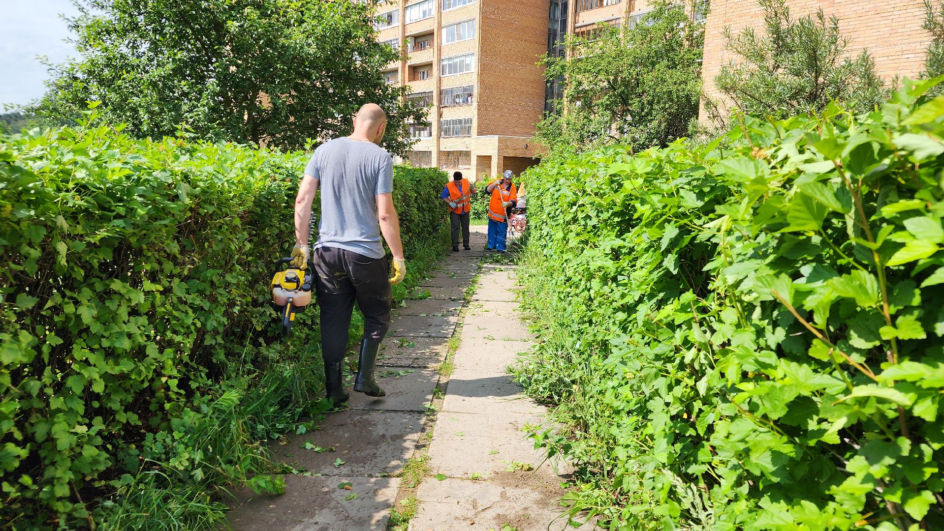 протвино, комбинат благоустройства, благоустроенная территория,