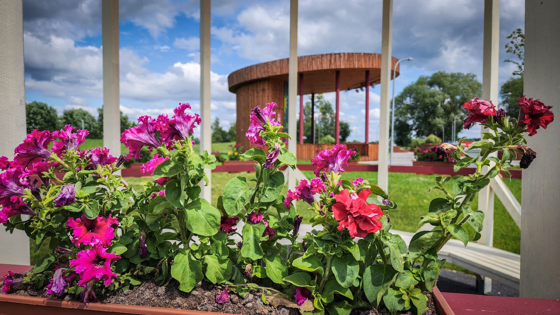 бронницы, парк бронницкий луг , цветы в парке, огород в парке бронницкий луг ,