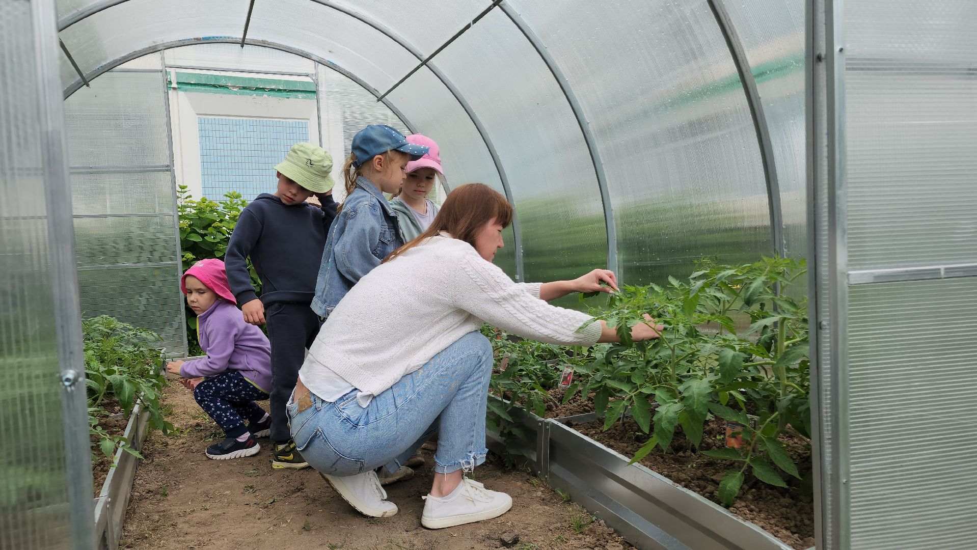 ступино, образование, профориентация, агроклассы,