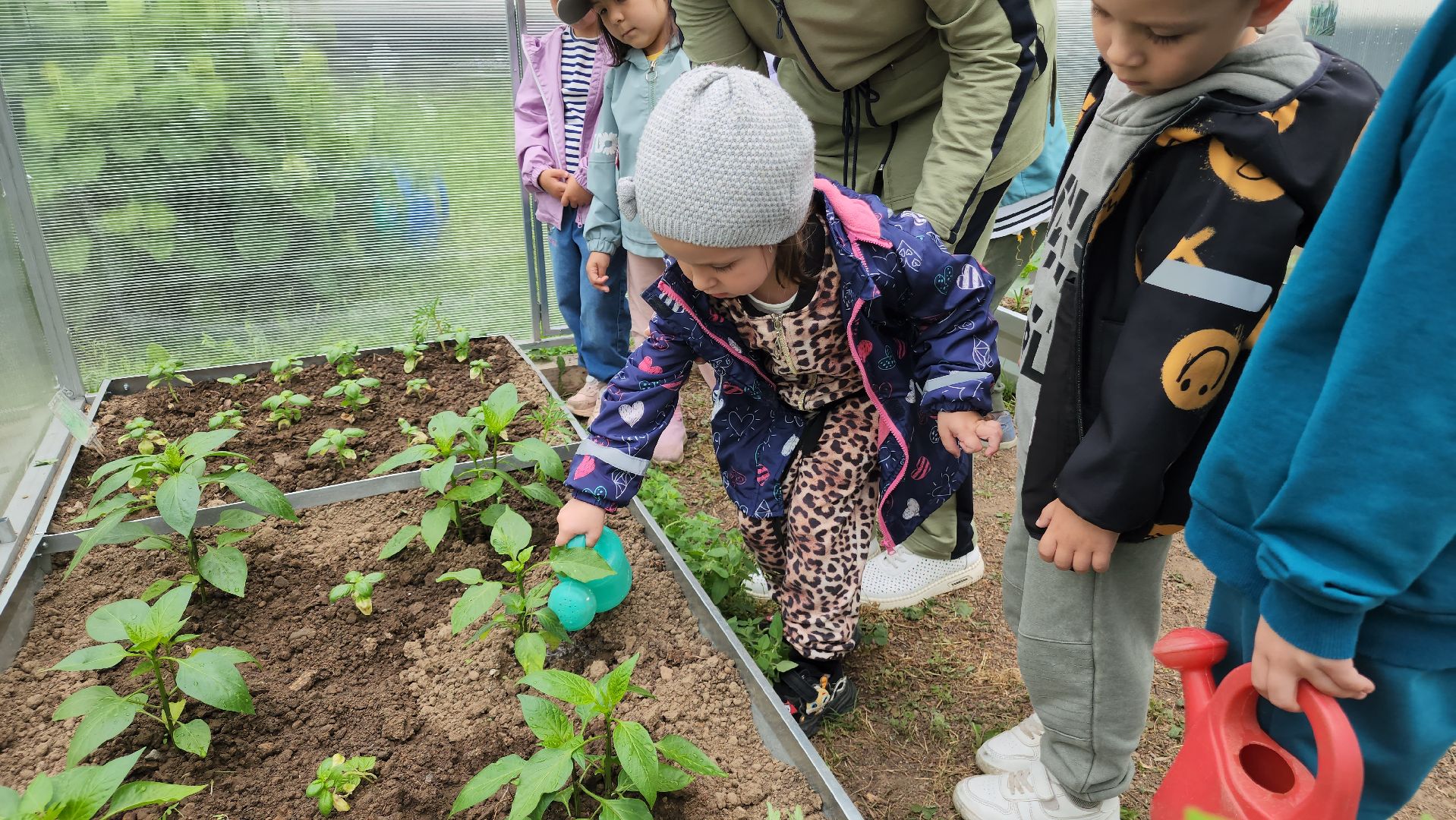 ступино, образование, профориентация, агроклассы,