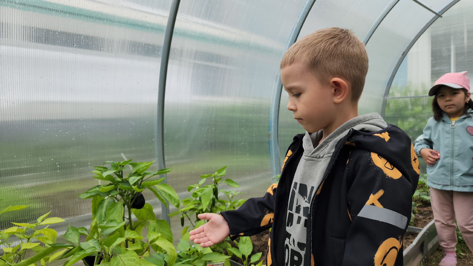 ступино, образование, профориентация, агроклассы,