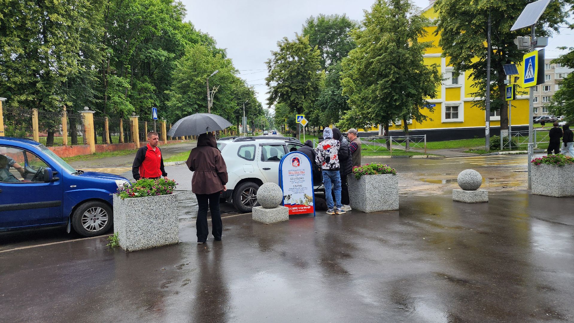 ступино, ветеринария, медицина, чипирование,