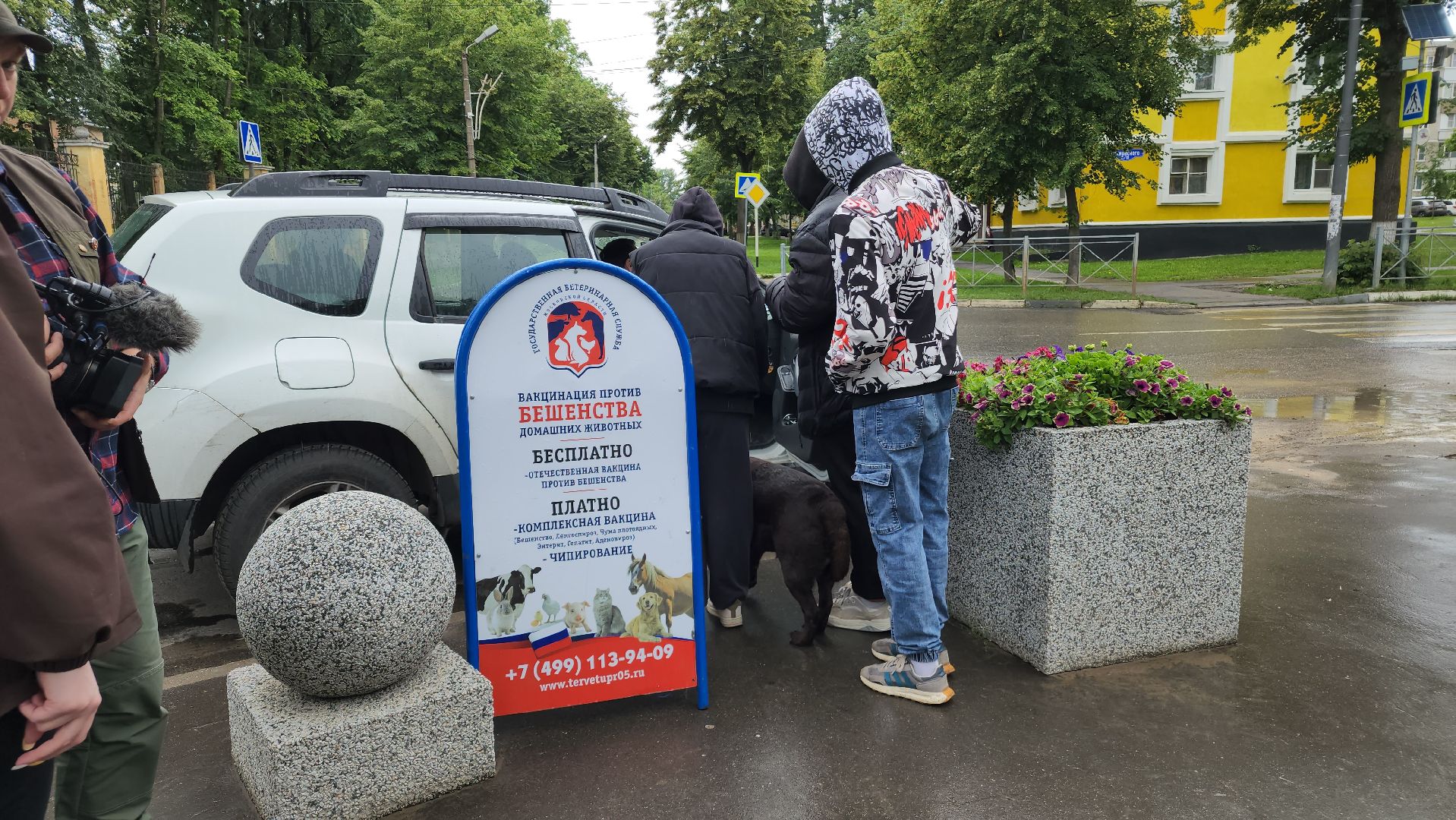 ступино, ветеринария, медицина, чипирование,