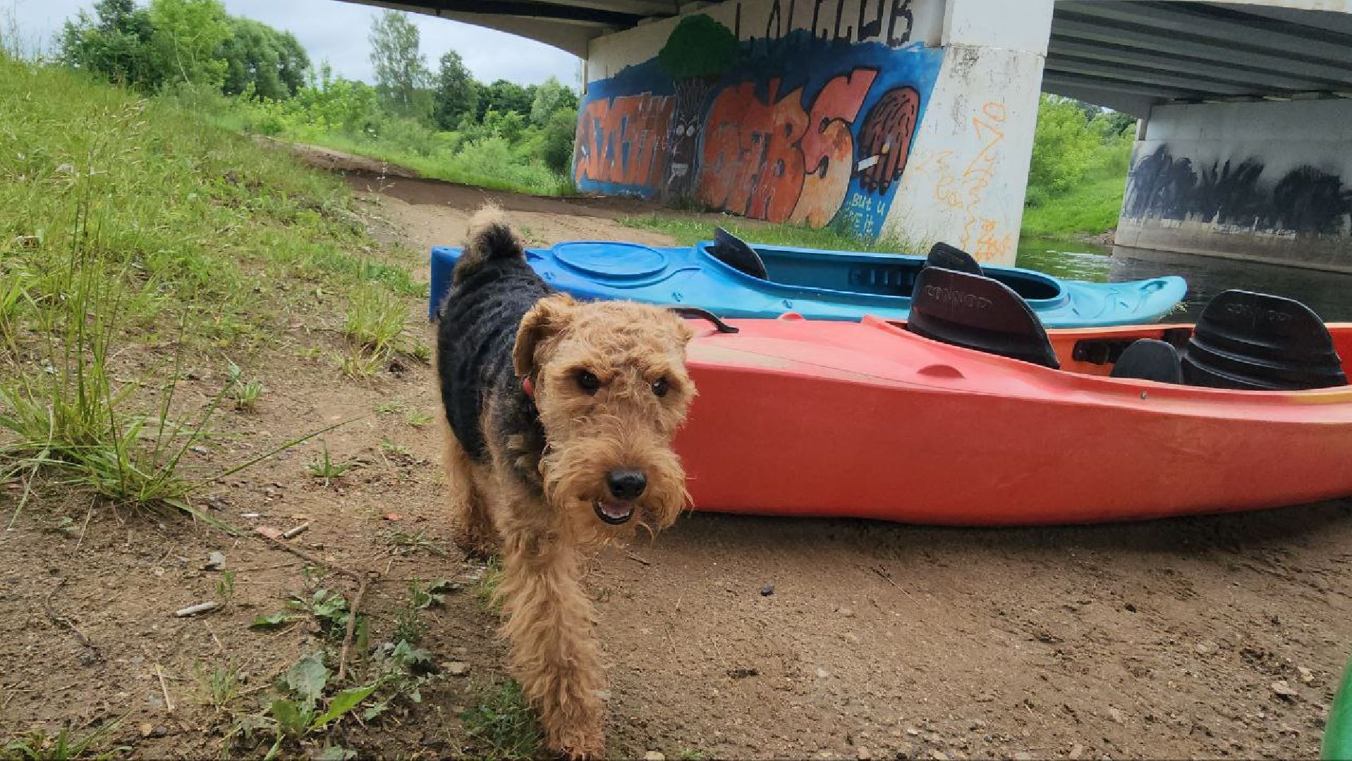 Истра, Каяки , сплав на каяках,