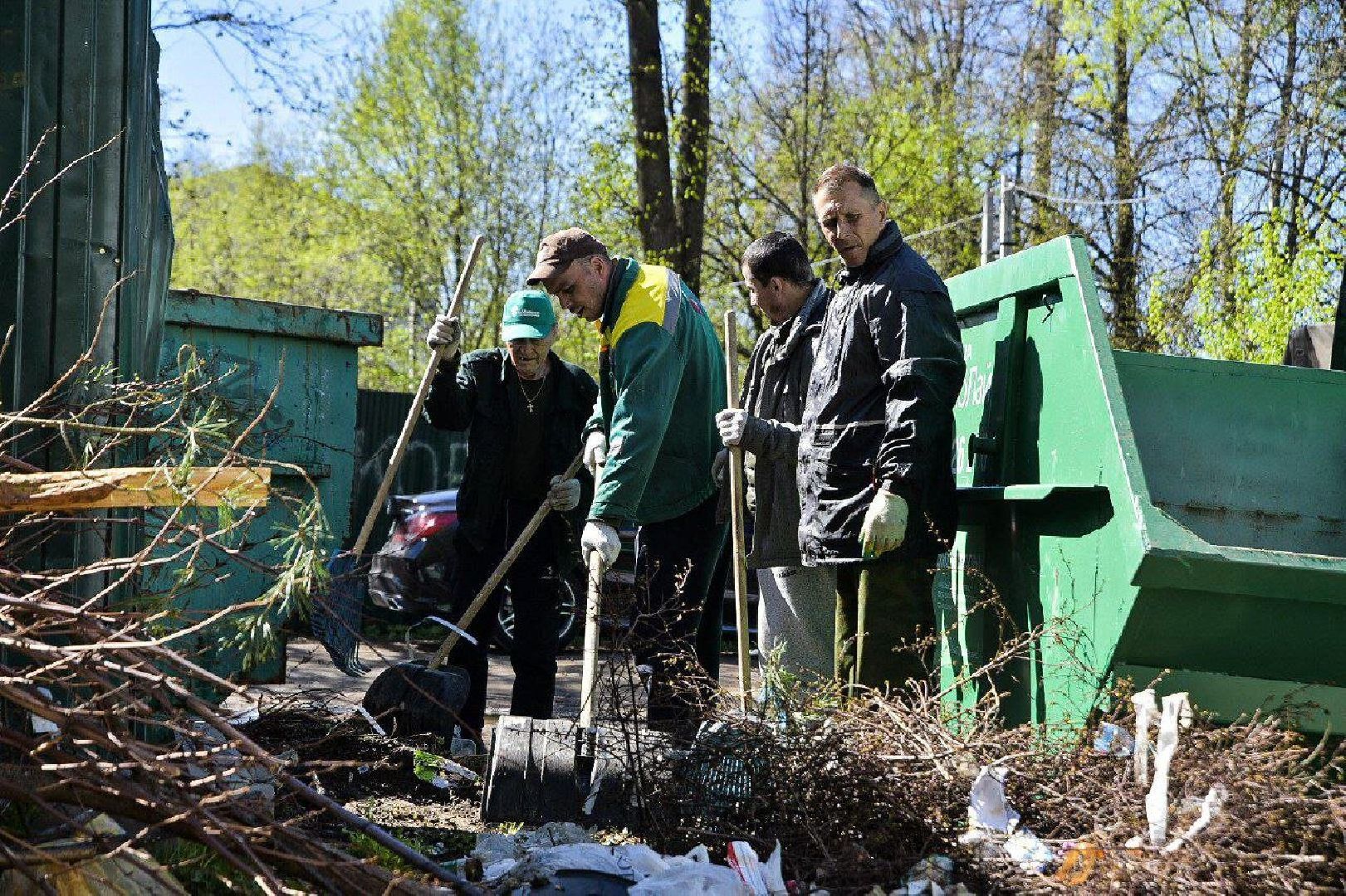 Солнечногорск, НашеПодмосковье, Благоустройство, Экология, Утилизация