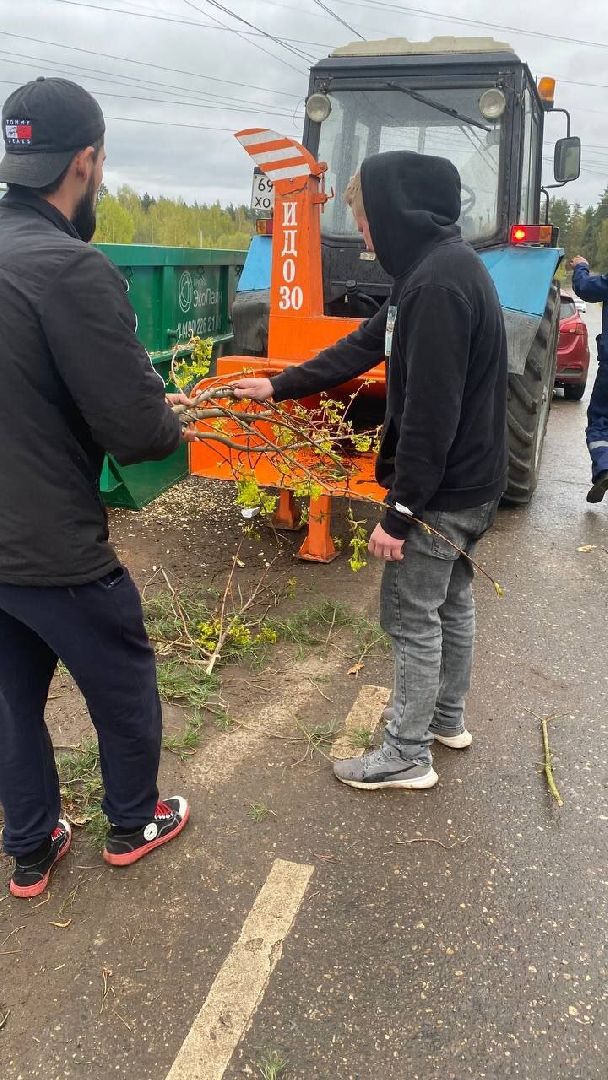 Солнечногорск, НашеПодмосковье, Благоустройство, Экология, Утилизация