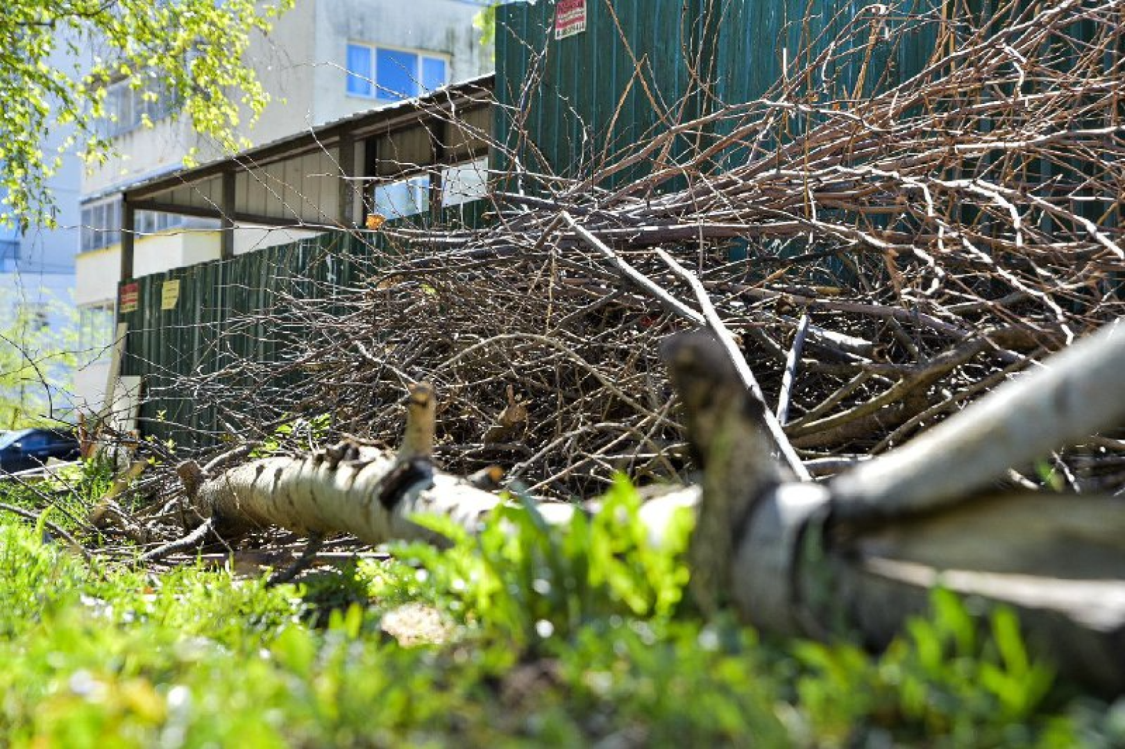 Солнечногорск, НашеПодмосковье, Благоустройство, Экология, Утилизация