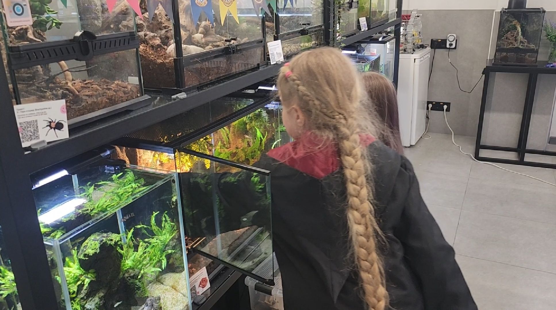 долгопрудный, технопарк физтех-лицея, биохимтех, биотеххогвартс, гарри поттер, магия науки, интенсив, лето в технопарке,