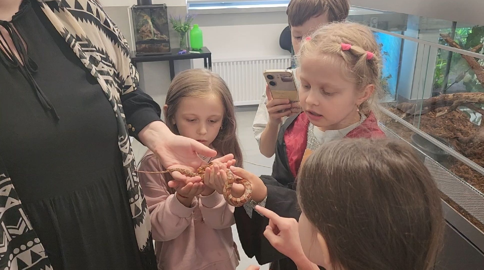 долгопрудный, технопарк физтех-лицея, биохимтех, биотеххогвартс, гарри поттер, магия науки, интенсив, лето в технопарке,