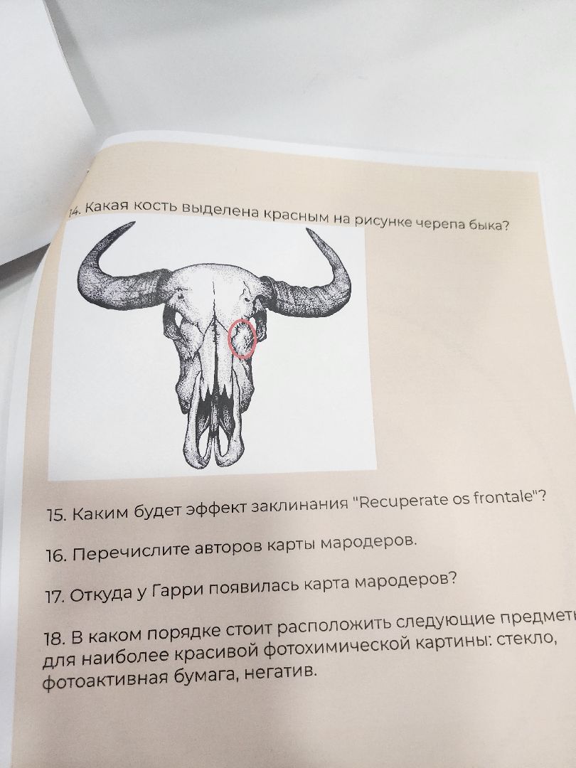 долгопрудный, технопарк физтех-лицея, биохимтех, биотеххогвартс, гарри поттер, магия науки, интенсив, лето в технопарке,