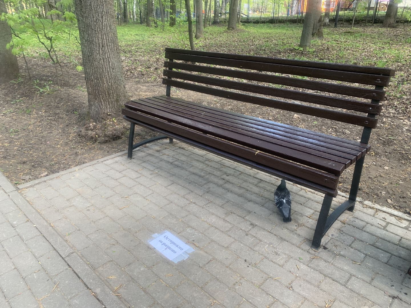 Парки Подмосковья, благоустройство