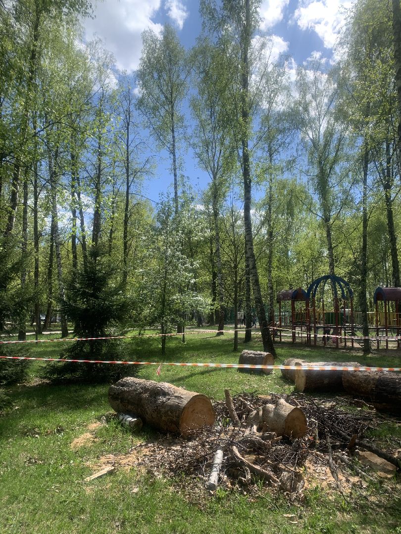 Парки Подмосковья, благоустройство