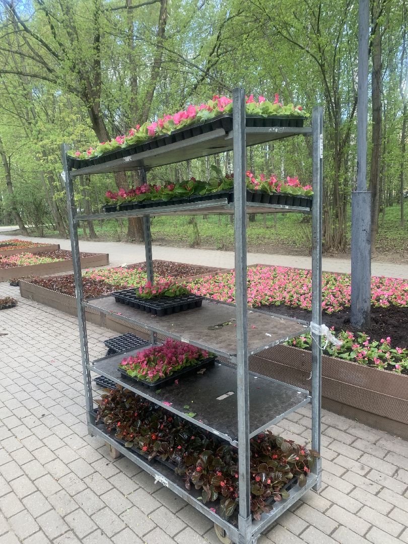 Парки Подмосковья, благоустройство