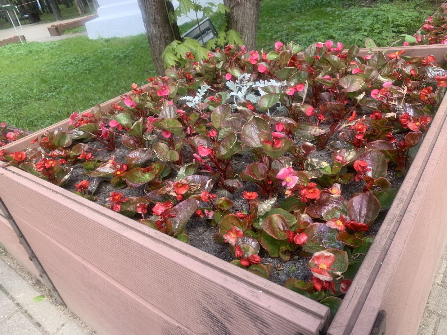 Парки Подмосковья, благоустройство