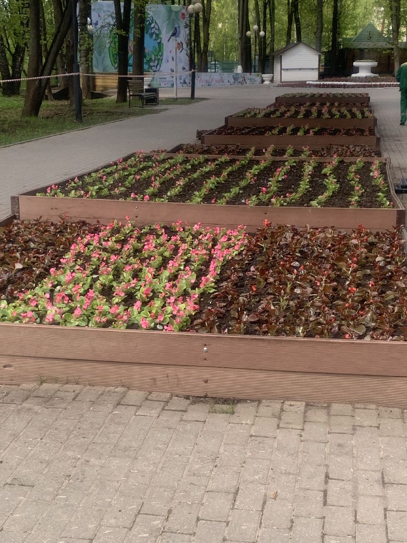 Парки Подмосковья, благоустройство