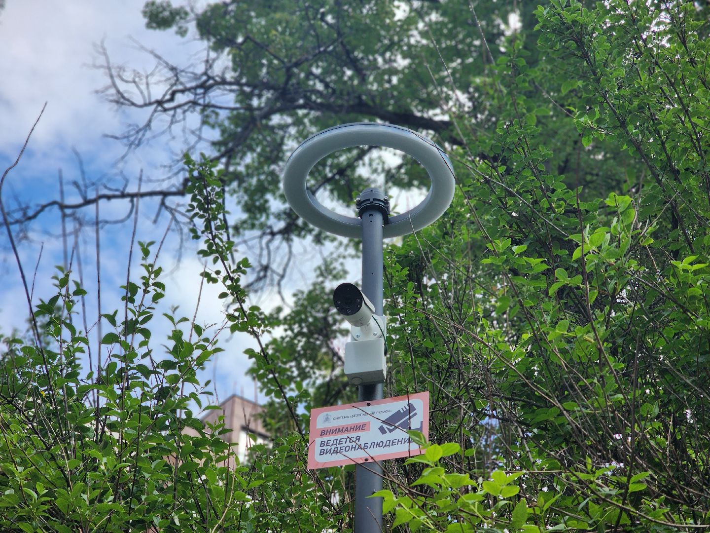 королёв, сквер у проходной ркк энергия, благоустройство в королеве, губернатор московской области,