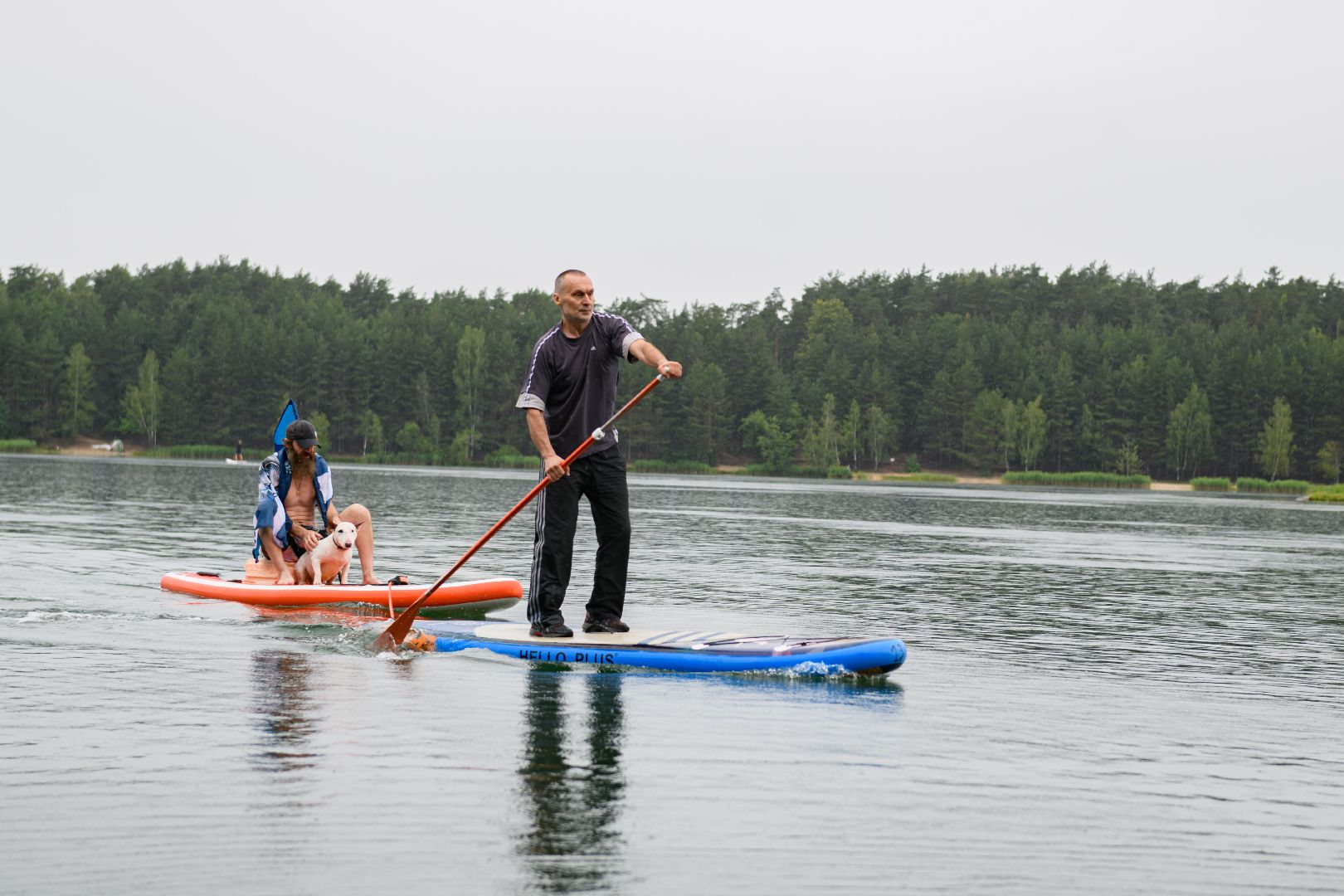 сапсерфинг, сапборды, сапы, белые медведи, лыткарино, волкуша, карьер волкуша,