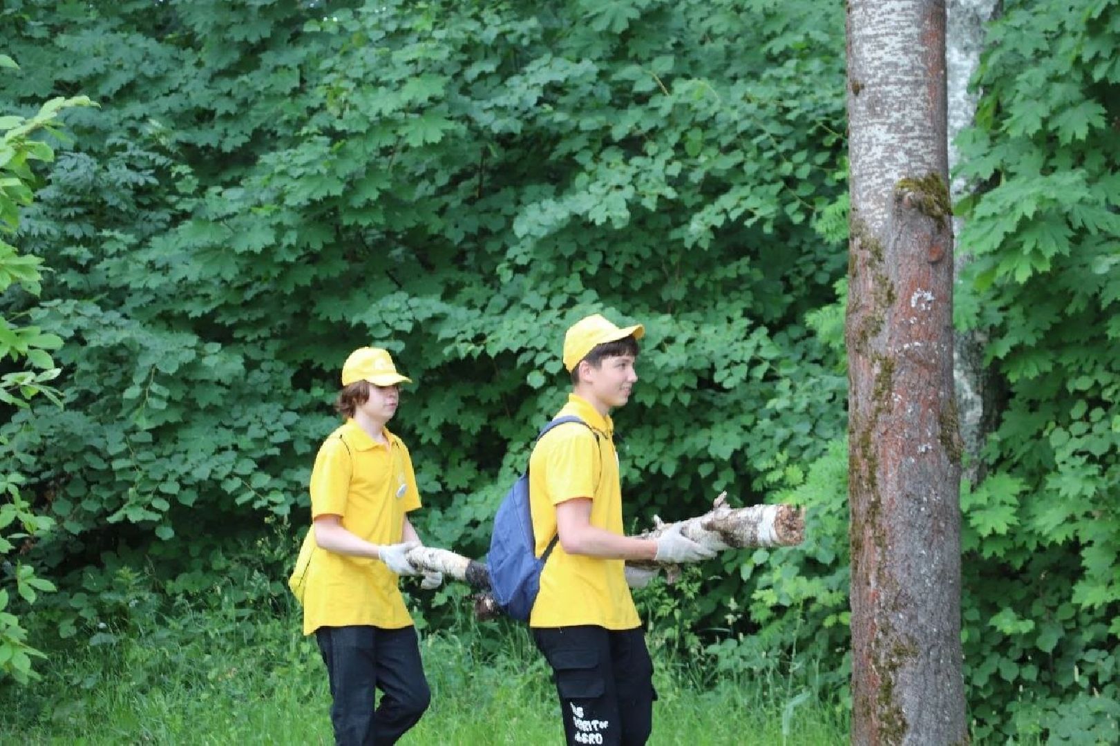 Солнечногорск, НашеПодмосковье, Благоустройство, Чистогорье, Молодежь