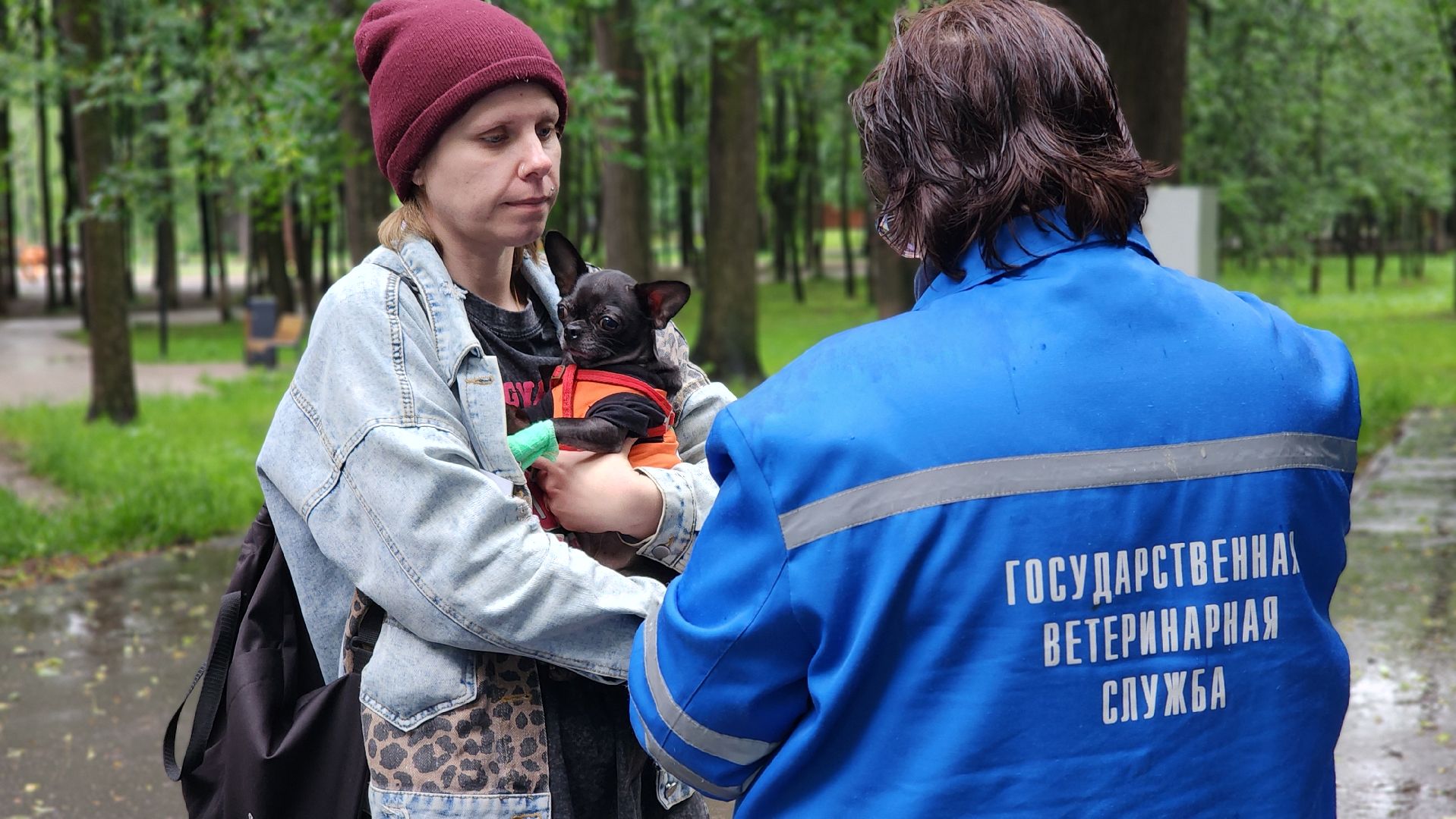 ветеринарная служба, животные, вакцинация животных, чипирование собак, лосино-петровский,